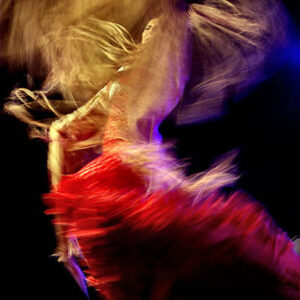Flamenco Oiseau