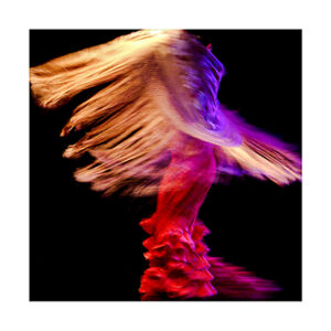 Danseuse Flamenco