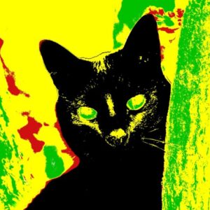 Pop Art Chat