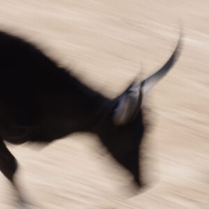 Olé